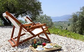 Eleonas Hotel